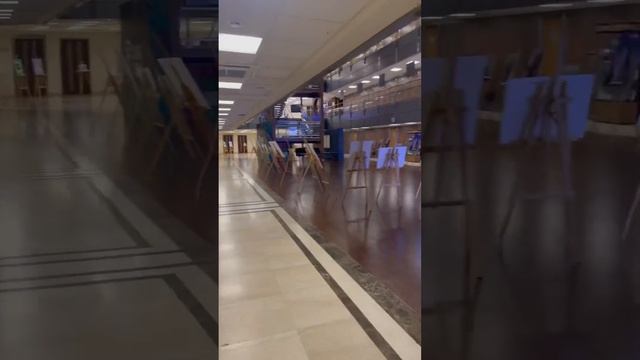 Магистратура по маркетингу в МГИМО было моим лучшим решением #учеба #саморазвитие #маркетинг #short смотреть онлайн
