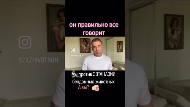 АСТРАХАНЬ ВСТАВАЙ 🆘🆘🆘🆘НЕ ДАЙ ПРОЛИТЬ КРОВЬ НЕ ВИННЫХ ЖИВОТНЫХ смотреть онлайн