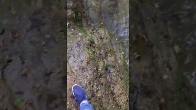 Речные крабы 🦀 смотреть онлайн