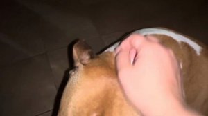 ПРИВЕТ ОТ ПУСИКА. ВЕДЬМИНА ИЗБА. ️ ИНГА ХОСРОЕВА.