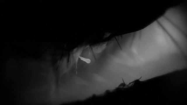 Первый враг - Limbo #2 смотреть онлайн