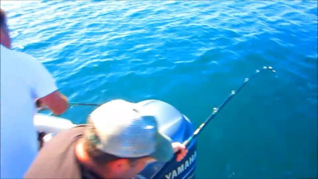 HALIBUT RELEASING $3500 WORTH !!!!! смотреть онлайн