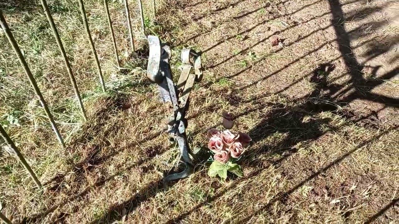 Погост у села Рудно смотреть онлайн