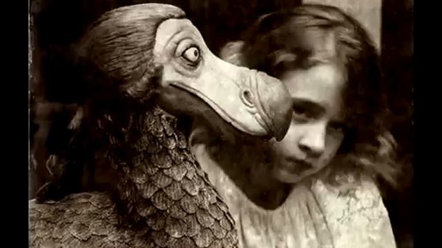 THE SONG OF THE DODO BIRD by DODO QUARTET смотреть онлайн