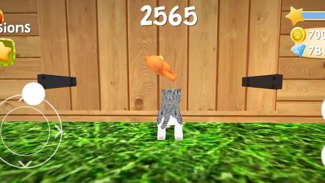 новая игра симулятор маленького котёнка смотреть онлайн