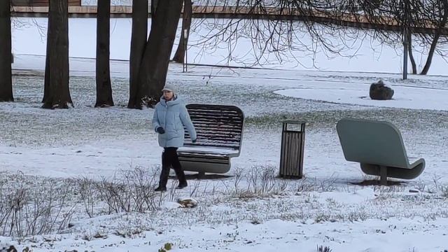 5 января 2020 г. смотреть онлайн
