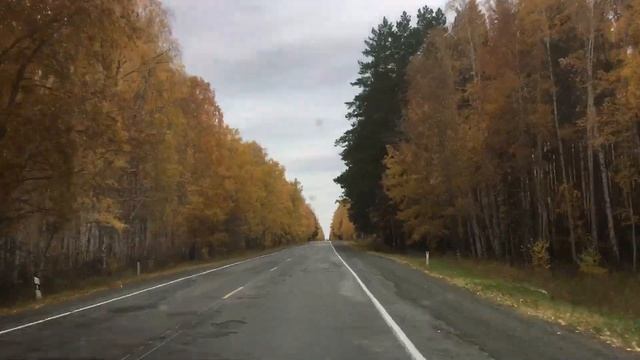 Как красив осенний Уральский лес! Множество оттенков желтого, красного, зелёного! смотреть онлайн