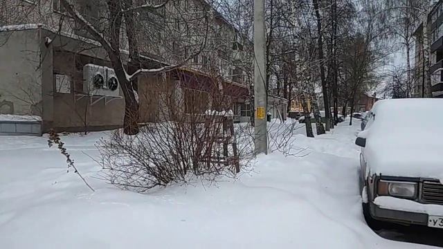03.01.2022 Птицы в Казани VID 20220103 134005 смотреть онлайн