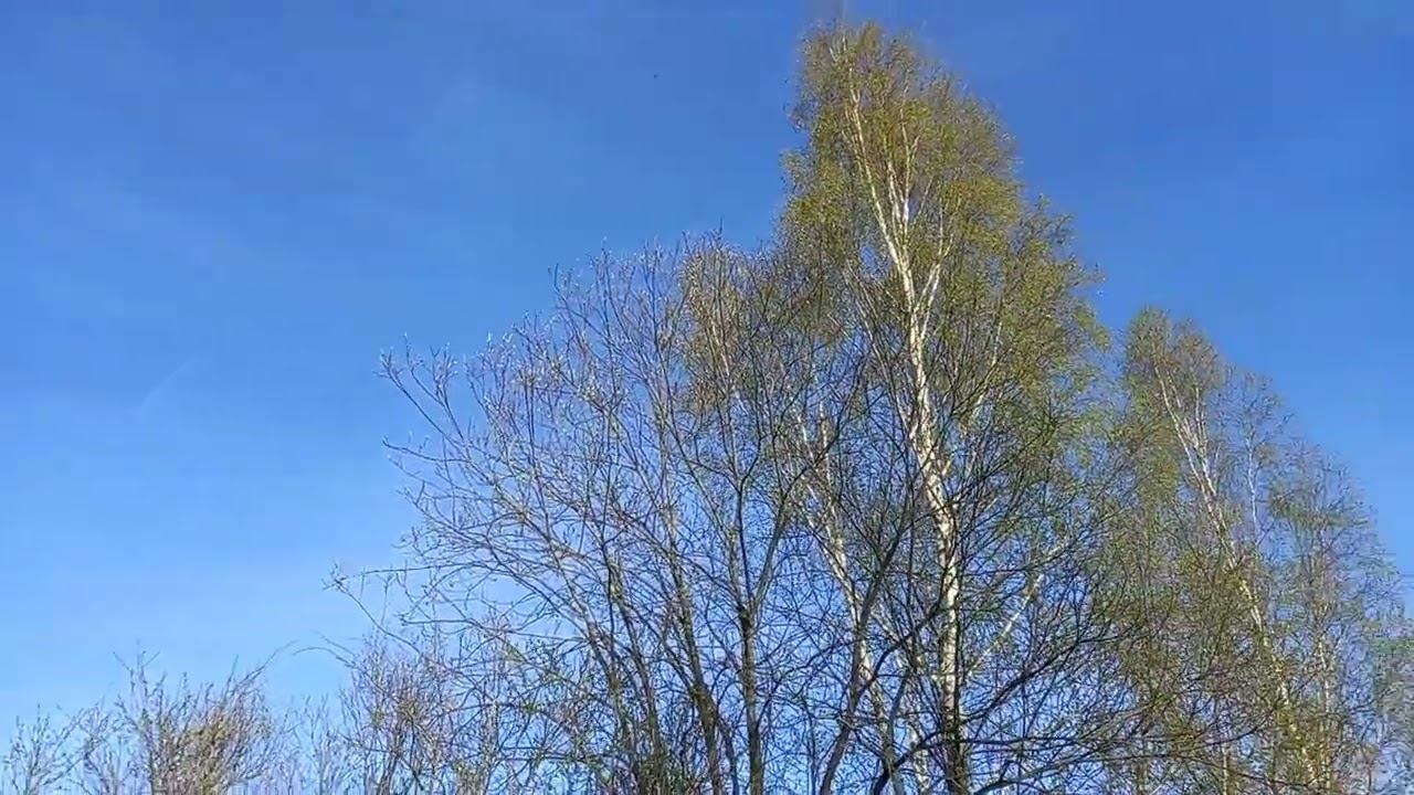 Сколько не сыпь, конец всё равно будет и отвечать придётся смотреть онлайн
