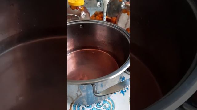 Қысқа сақталатын шие мен сары өрік компоты!! Өте дәмді әрі пайдалы!👍 смотреть онлайн