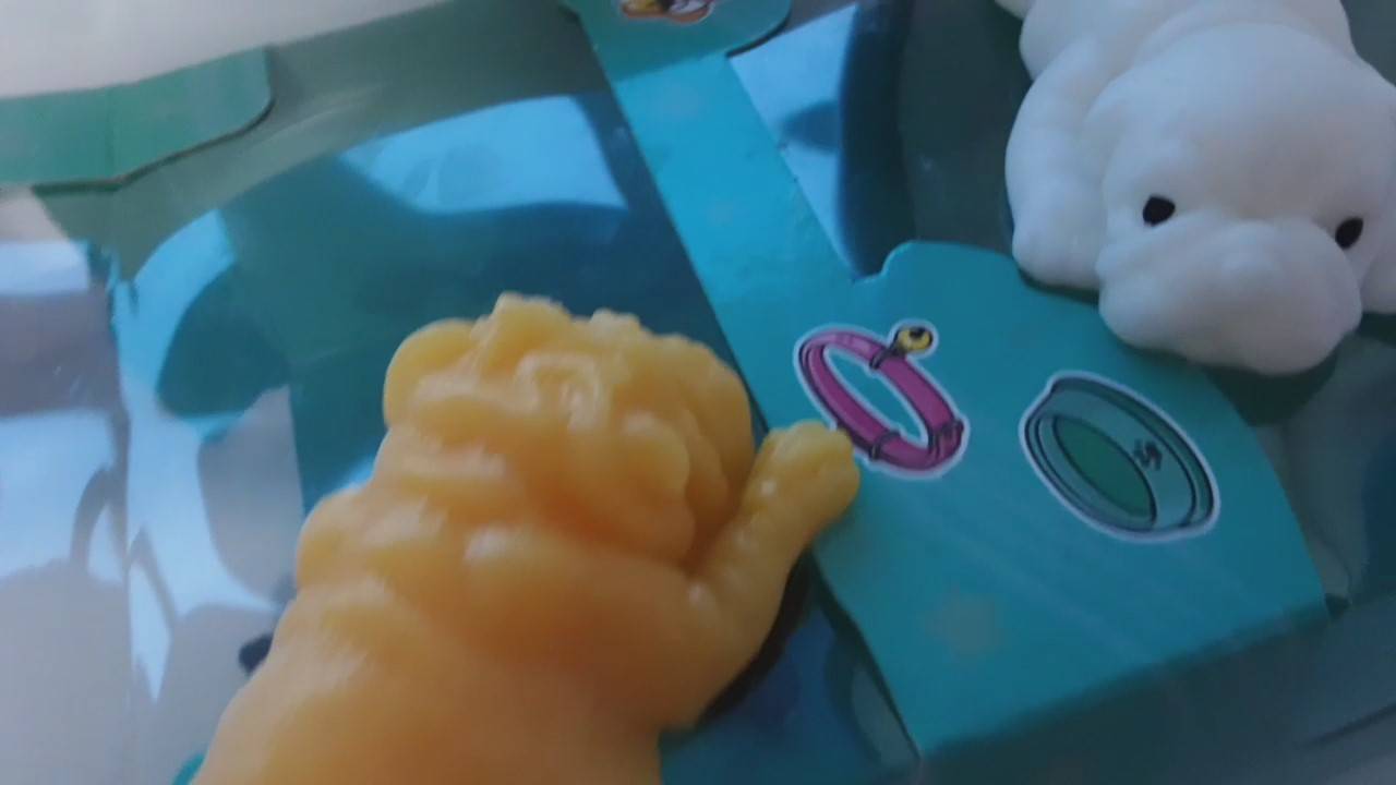 Делаю перестановку в домике у сквиши-собак 🙂 смотреть онлайн