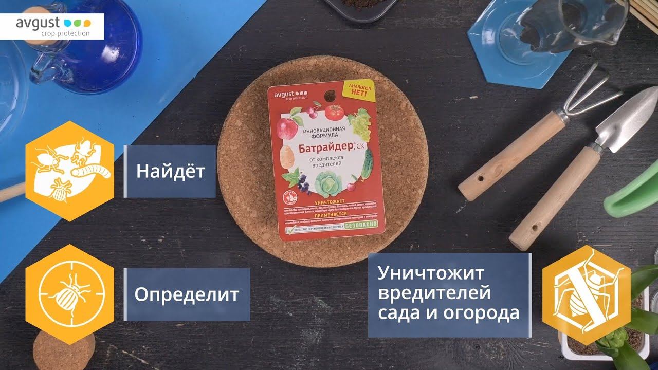 Батрайдер - одно средство от множества вредителей. Инструкция и особенности применения.