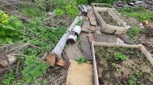 Беспахотное земледелие . Картофель на целине сегодня 29 мая 2021