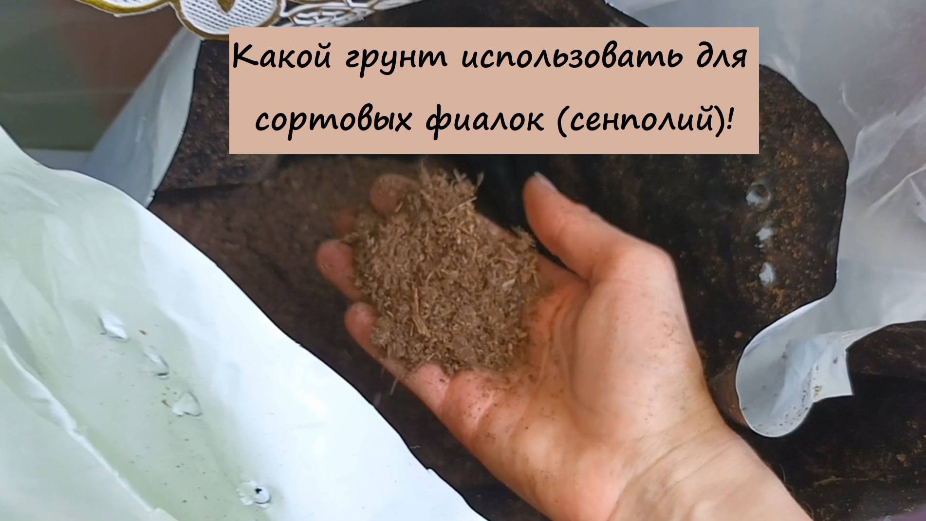 Какой грунт использовать для сортовых фиалок (сенполий)! смотреть онлайн