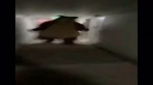 МЕДВЕДЬ БЕЖИТ ПО КОРИДОРУ-МЕМ