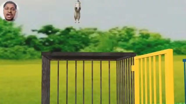Long Slide Game With Elephant Gorilla Buffalo Hippopotamus Tiger - 3d Animal Game - Funny 3d Animal смотреть онлайн