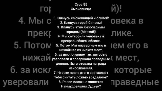 СУРА 95/АТ-ТИН/СМОКОВНИЦА смотреть онлайн