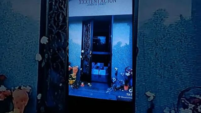 xxtenations смотреть онлайн