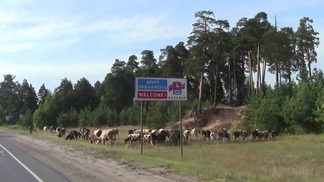 Жизнь возвращается. смотреть онлайн