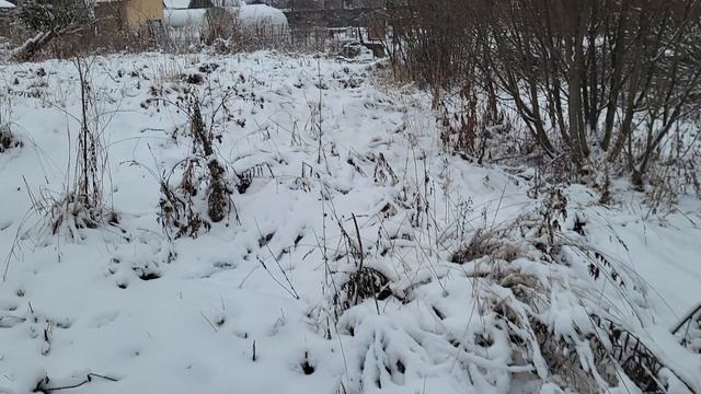 А поболтать и прогуляться? Зимняя прогулка смотреть онлайн