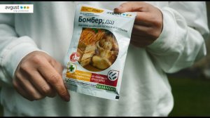 Бомбер - дымовая шашка от вредителей и болезней. Инструкция по применению