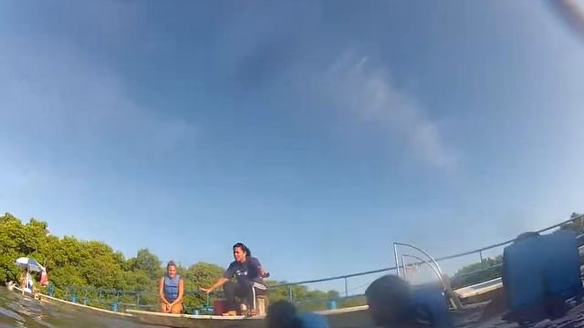 Swimming with the dolphins in Cuba Varadero смотреть онлайн