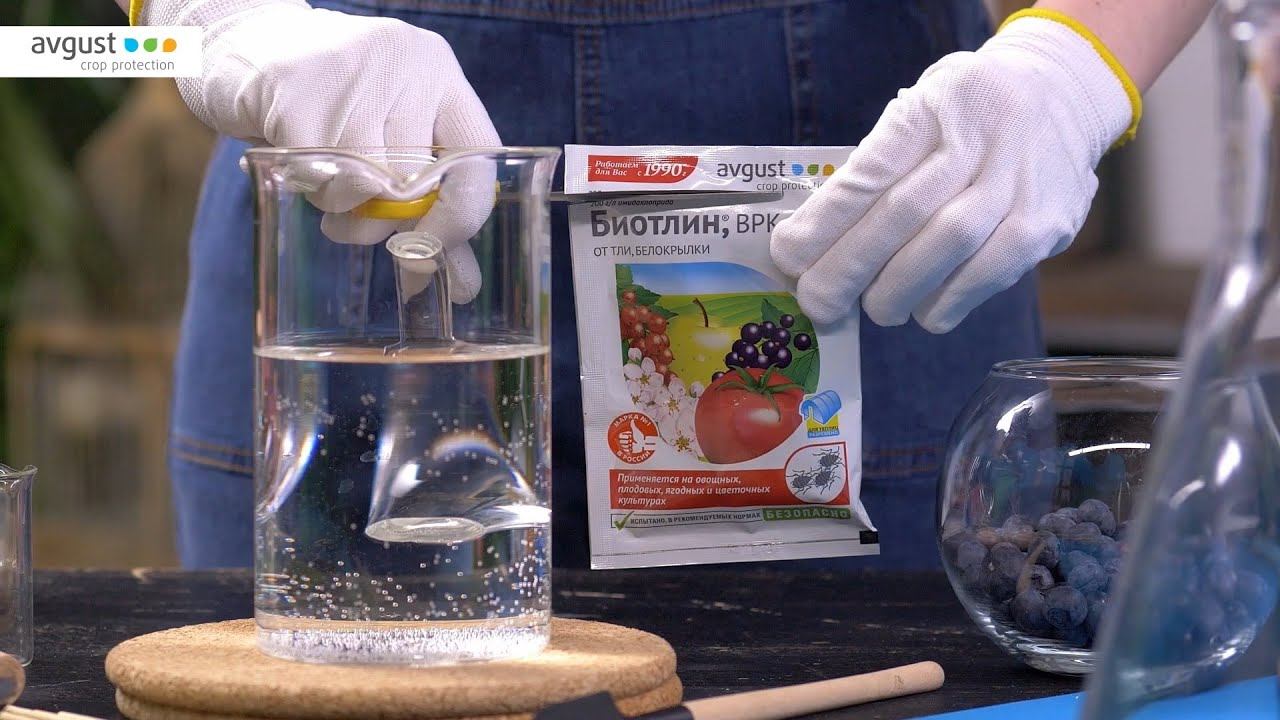 Биотлин от тли. Инструкция и особенности применения смотреть онлайн