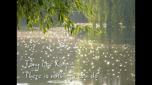 Tony Lee King – There is nothing i can do смотреть онлайн