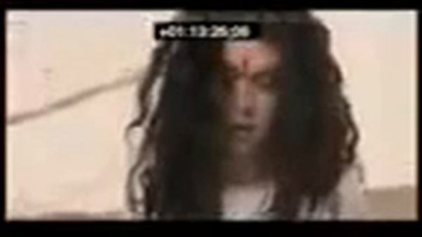 Зани зинокор