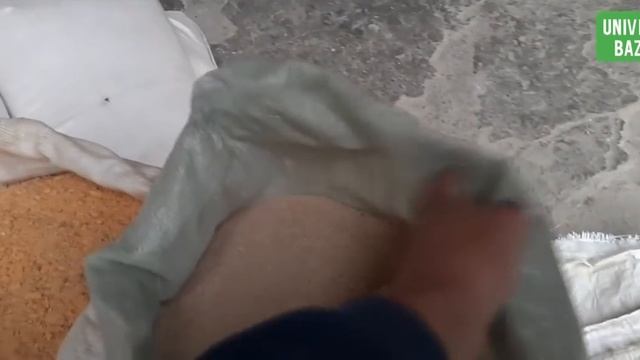 Жем БААЛРЫ Арзан Беде Прес Кандай болду экен смотреть онлайн