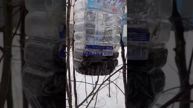 Пернатые перезимуют! смотреть онлайн