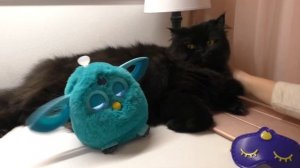 Furby Connect unboxing