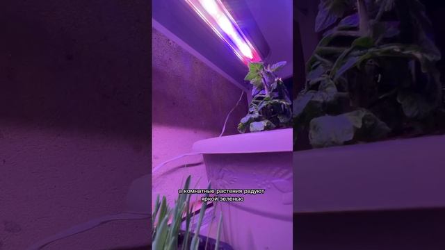 Как выбрать подходящую лампу? смотреть онлайн