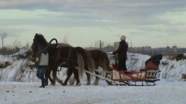 торойка 3 смотреть онлайн