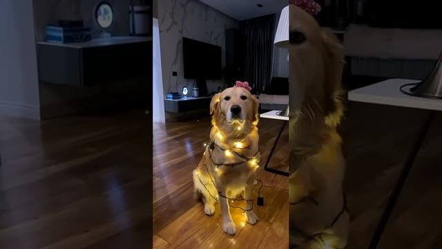 Новогодний лайфхак смотреть онлайн