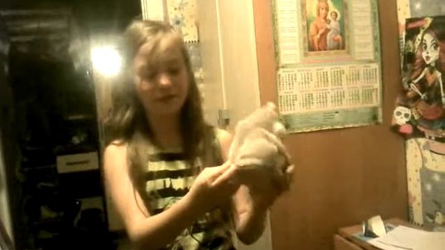 Мега- говорящий хомяк смотреть онлайн