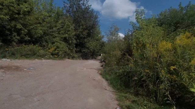 Собачки против шокера смотреть онлайн