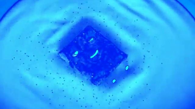 Cinnamon Toast Crunch High Dive (Short Version) In Chorded