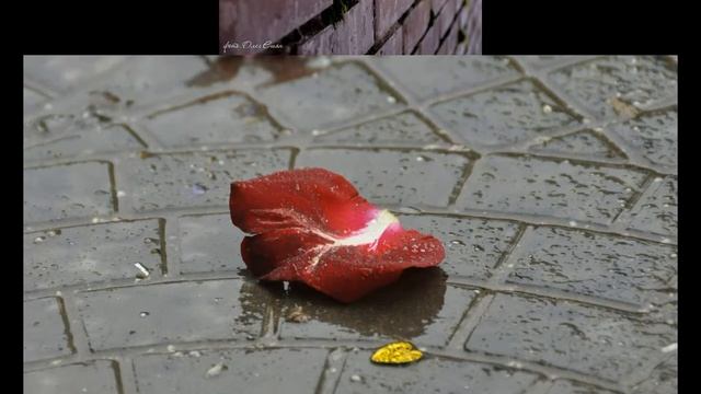 Экспромт смотреть онлайн