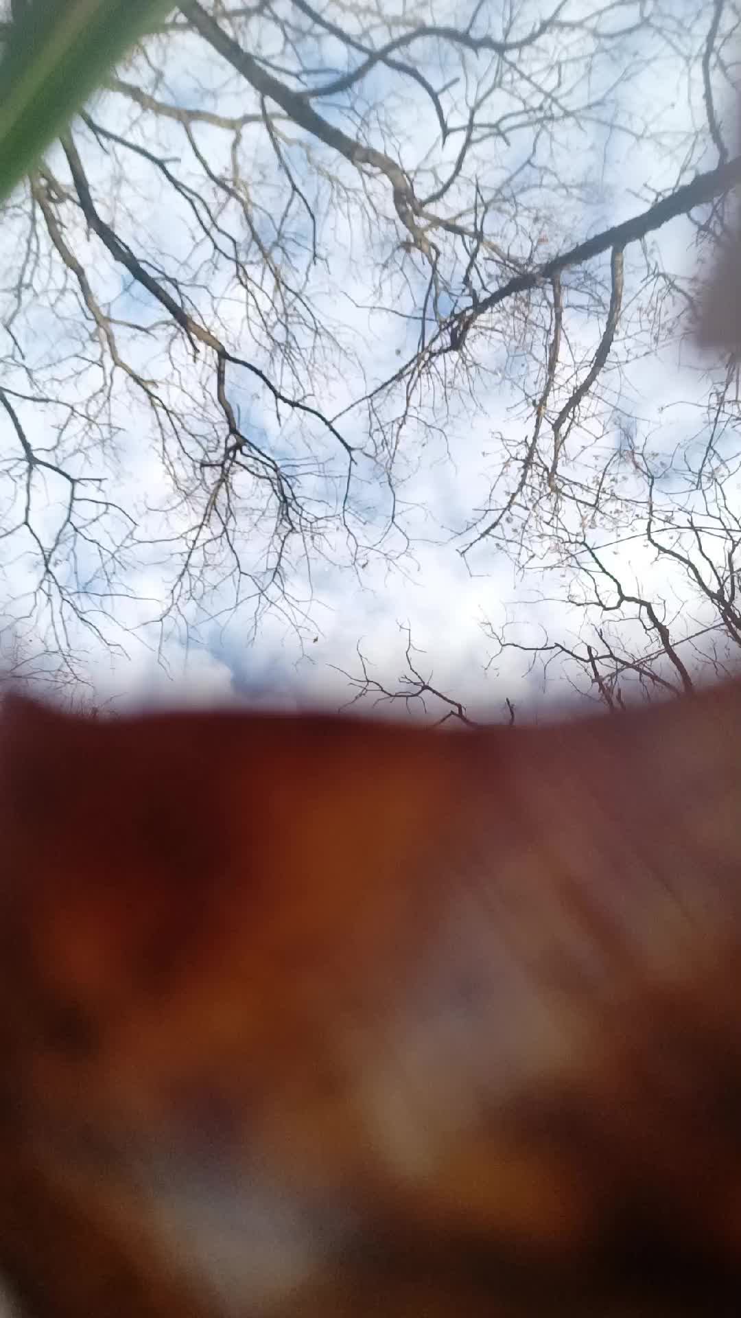 коп металла