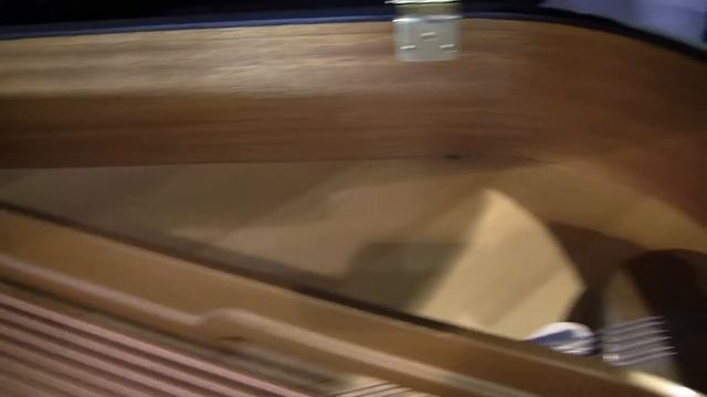 Samick SIG 50 GJC0122 inspection смотреть онлайн