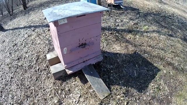 Весна смотреть онлайн