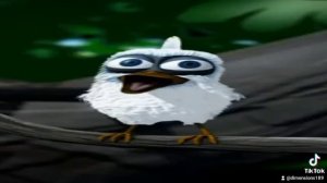 Птица кричит Салам алейкум Но  это HD