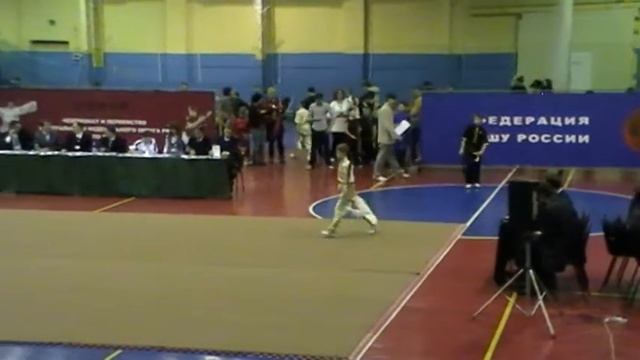 ЦФО Ушу г. Воронеж 04.02.2011 г. смотреть онлайн