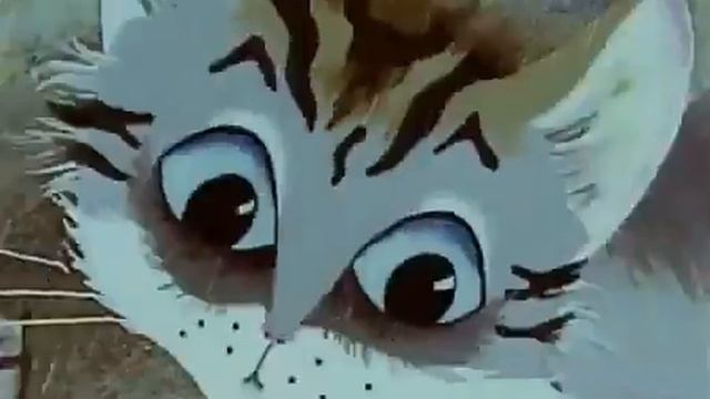 Дождливая история (1988) Мультфильм Татьяны Митителло смотреть онлайн