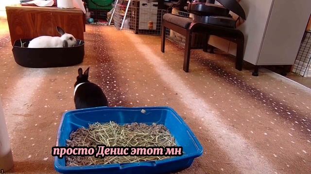 Просто друзья - интересные истории. - Слушать рассказы смотреть онлайн