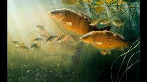Коммерческий турнир F-Carp, 2024, РСК «Павловский», команда «Лом».