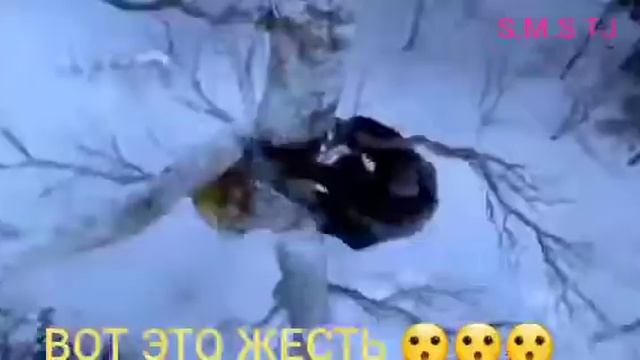 Борьба за жизнь. ЧЕЛОВЕК С ТИГРОМ 😮😮😮😮😮 ПОДПИШИТЕС И СМОТРИТЕ НОВЫЕ ВИДОСЫ смотреть онлайн