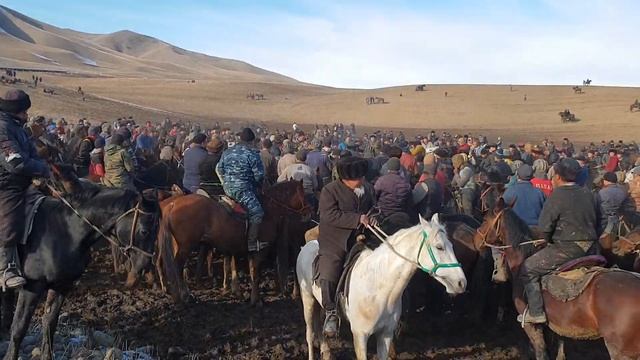 Кок бел баш байге смотреть онлайн