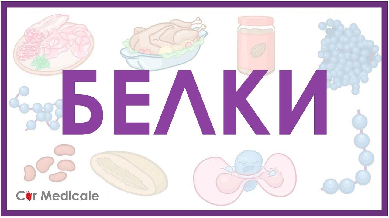Белки - виды аминокислот, суточная потребность смотреть онлайн